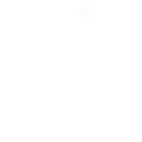 French Ligue 1 logo