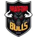 Bradford Bulls logo