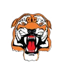 Castleford Tigers logo