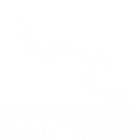 Newcastle Falcons logo
