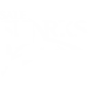 Sale Sharks logo