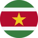 Suriname logo