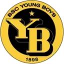 Young Boys logo